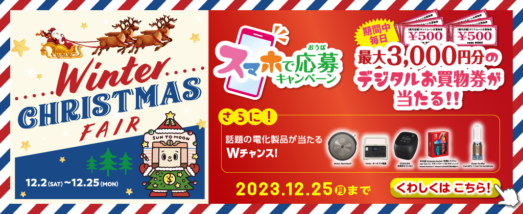 Winter Christmas Fair2023